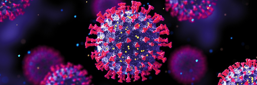 An representation of the SARS-CoV2 viruses