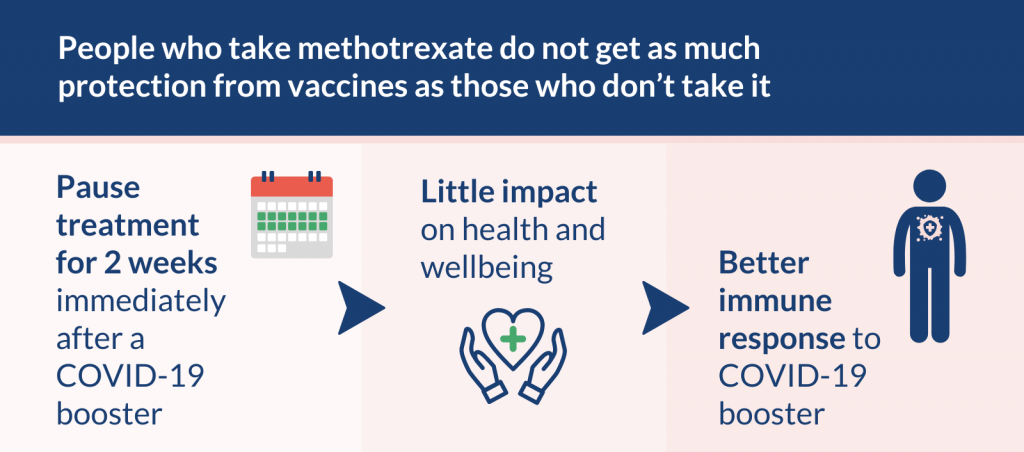 People who take methotrexate do not get as much protection from vaccines as those who don’t take it.

Pause methotrexate treatment for 2 weeks immediately after a COVID-19 booster > Little impact on health and wellbeing > Better immune response to COVID-19 booster