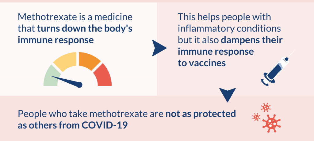 Methotrexate is a medicine that turns down the body's immune response.

This helps people with inflammatory conditions but it also dampens their immune response to vaccines.

People who take methotrexate are not as protected as others from COVID-19.
