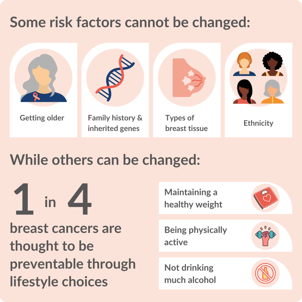 Correlation Between Breast Size and Cancer Risk